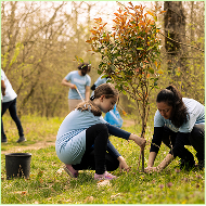 People collaborating